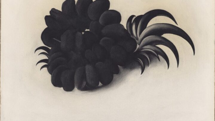 Composizione surrealista in bianco e nero formata da elementi organici scuri e foglie allungate