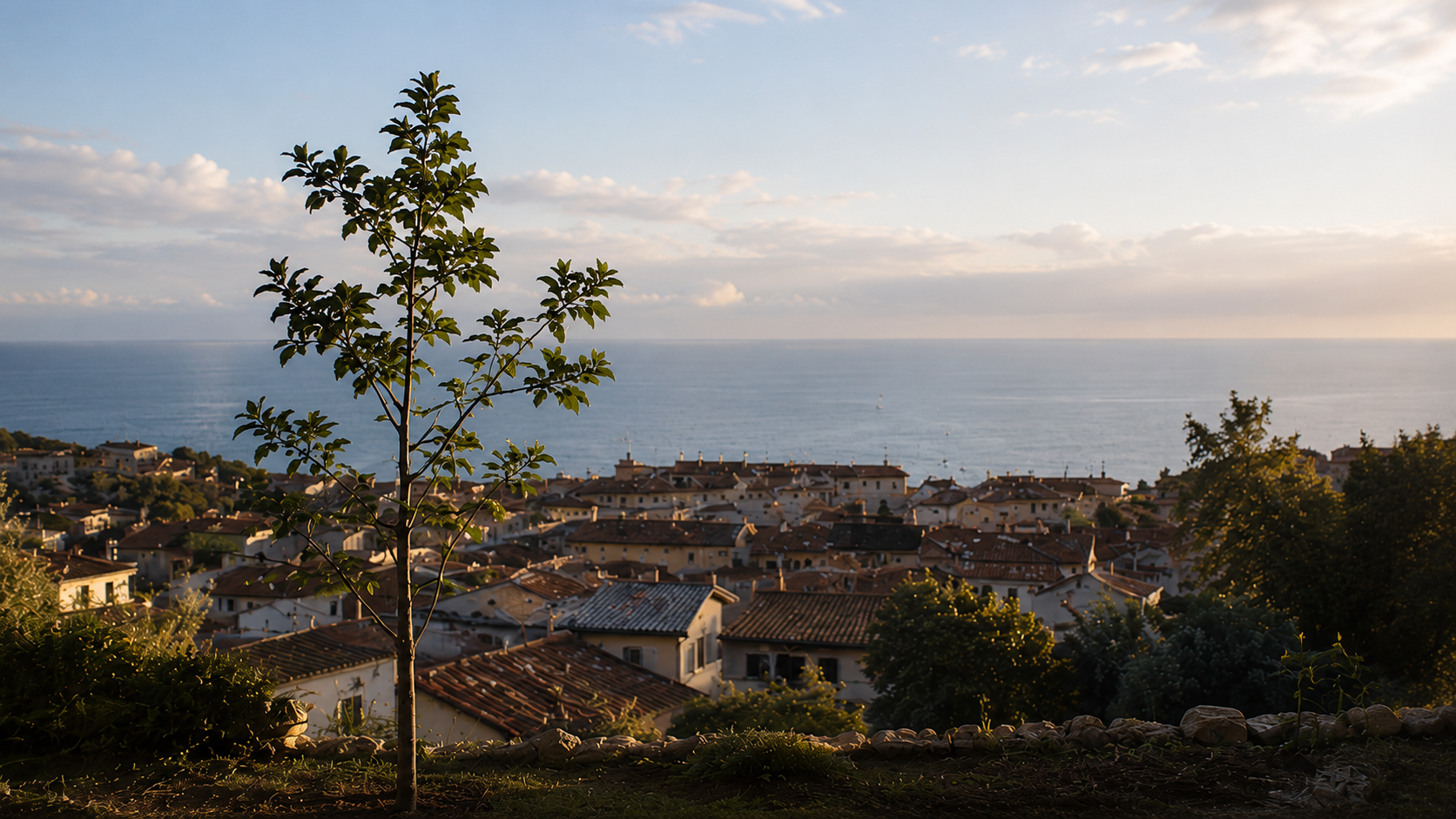 Soglia visiva per L'Albero e il Mare, costruita per accompagnare il racconto in Casa Creativa
